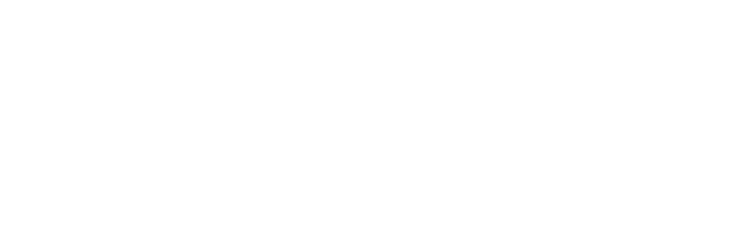 Veltrix Capital